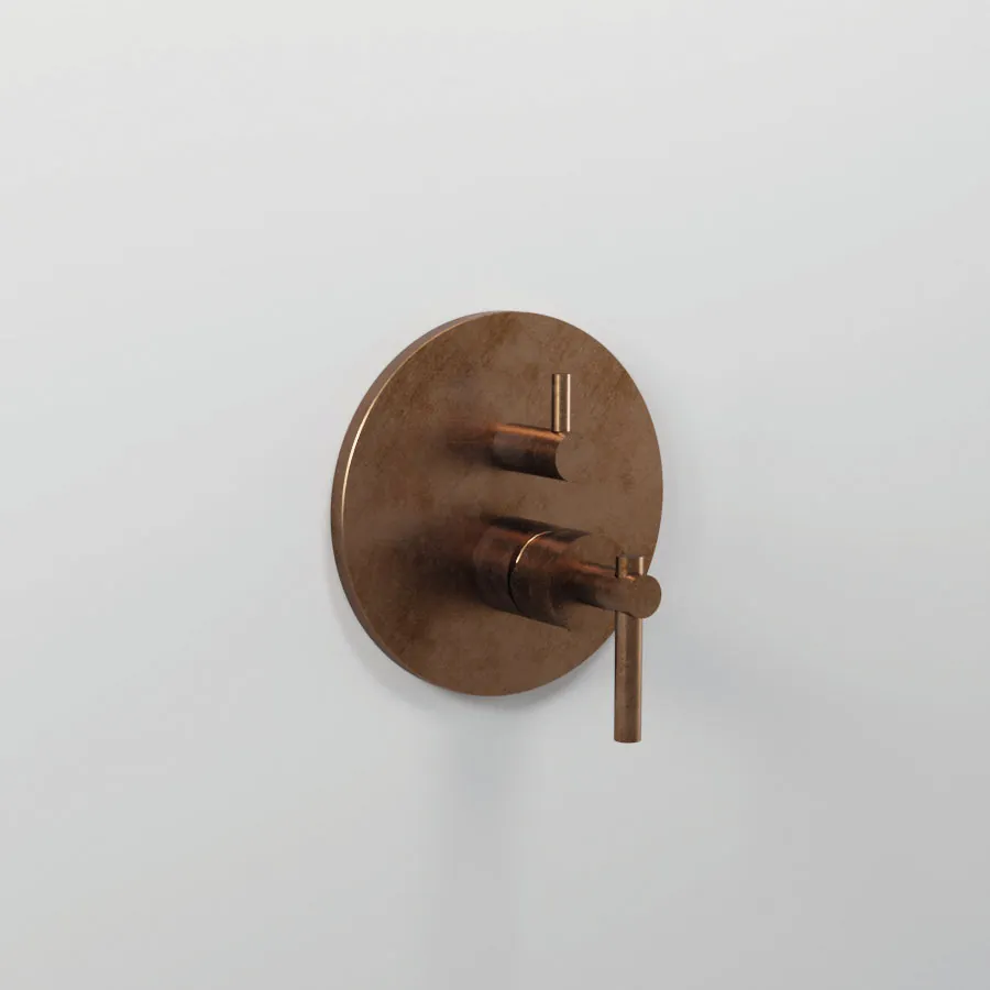 Detailbeeld van de Bongio T-Lever collectie